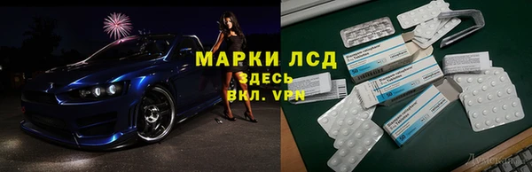 соль ск Сосновоборск