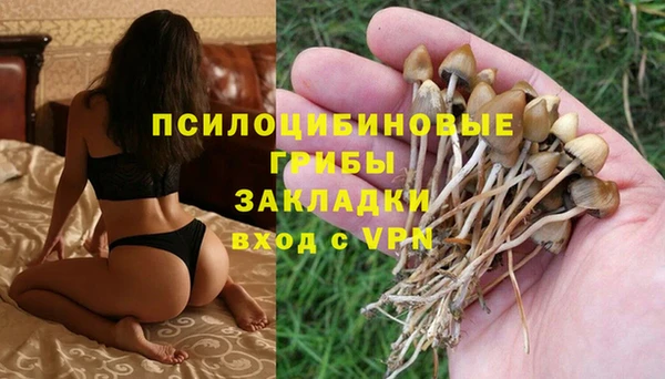 МДМА Сосновка