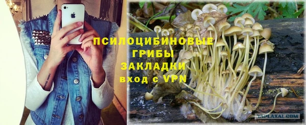 дмт Строитель