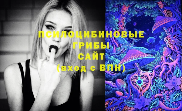 МДМА Сосновка