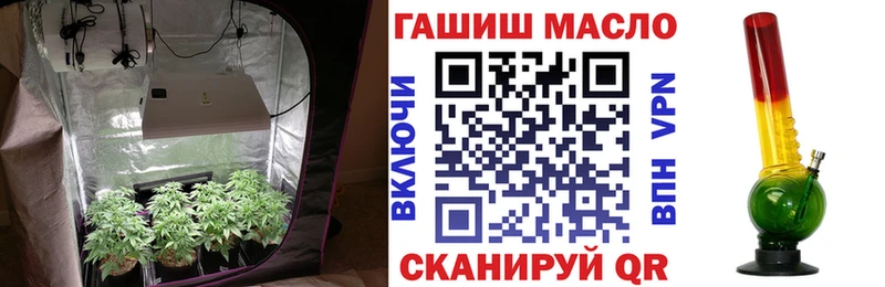 Купить  Кинель  ТГК концентрат 